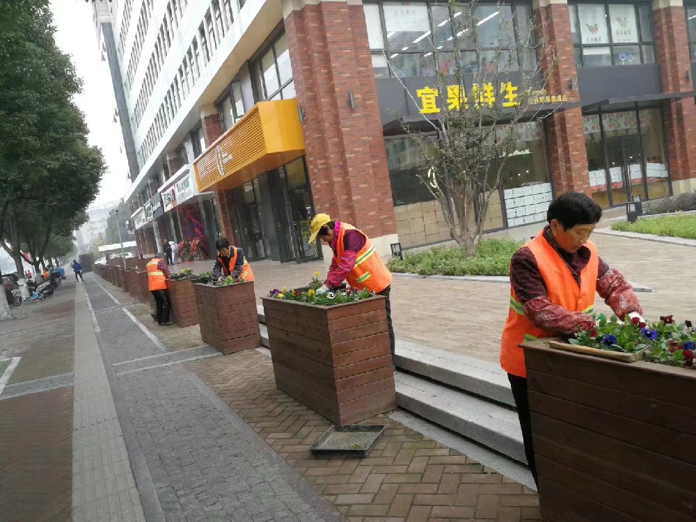 道路绿植养护